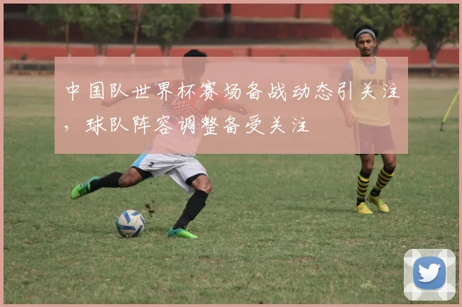 中国队世界杯赛场备战动态引关注，球队阵容调整备受关注