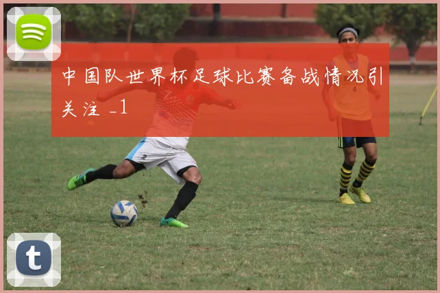 中国队世界杯足球比赛备战情况引关注 _1