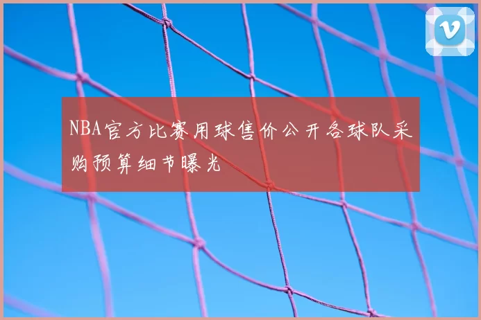 NBA官方比赛用球售价公开各球队采购预算细节曝光