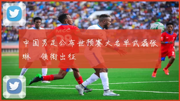中国男足公布世预赛大名单武磊张琳芃领衔出征