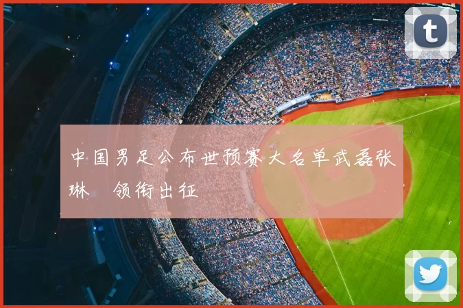 中国男足公布世预赛大名单武磊张琳芃领衔出征